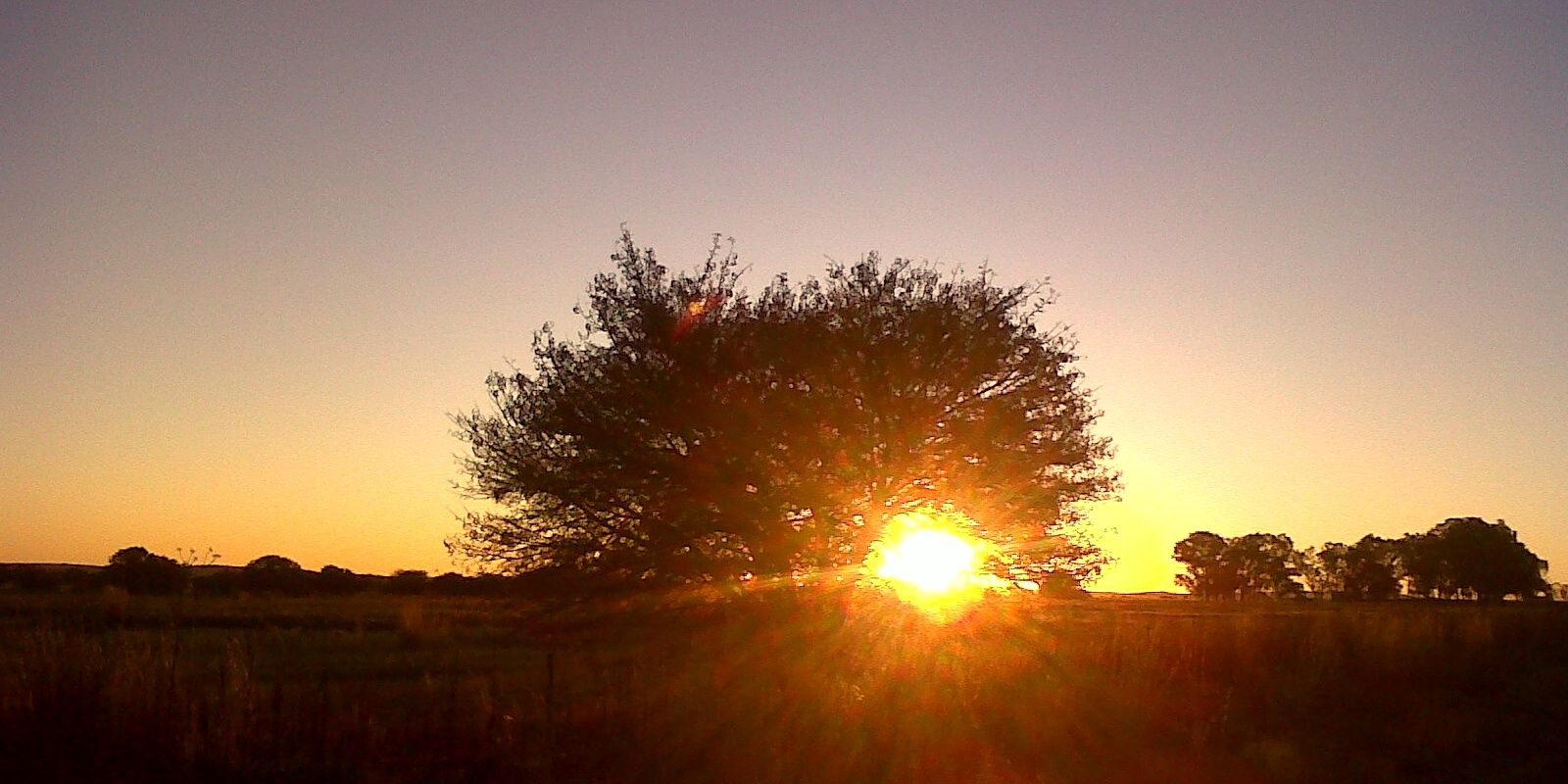 LHLRothman's profile banner image