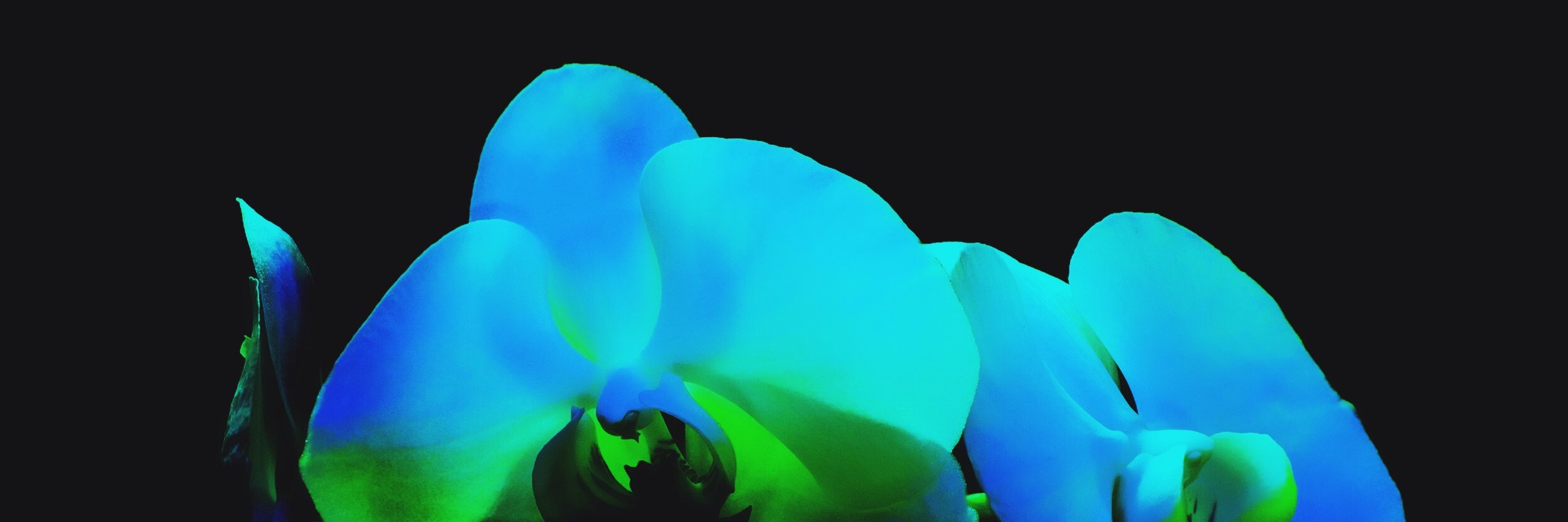 SOVRN ソブリン banner