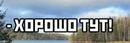 Terterli's profile banner image