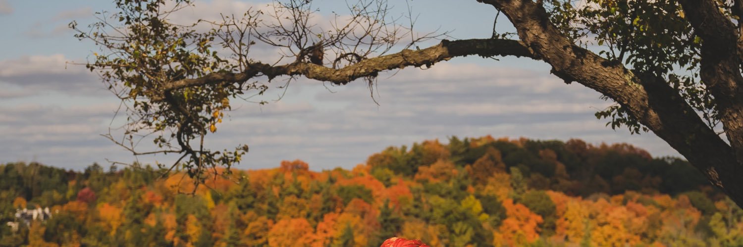 SarahKatyal's profile banner image