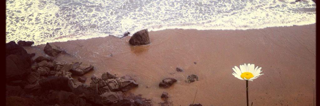 CalzB's profile banner image