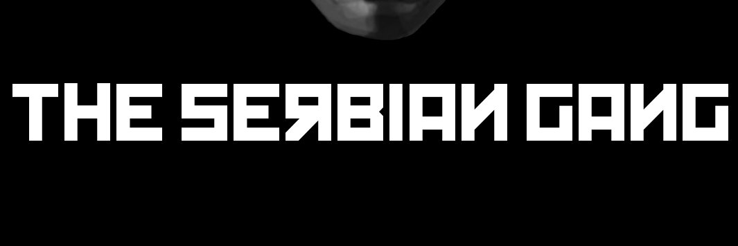 StabilerSerbe's profile banner image