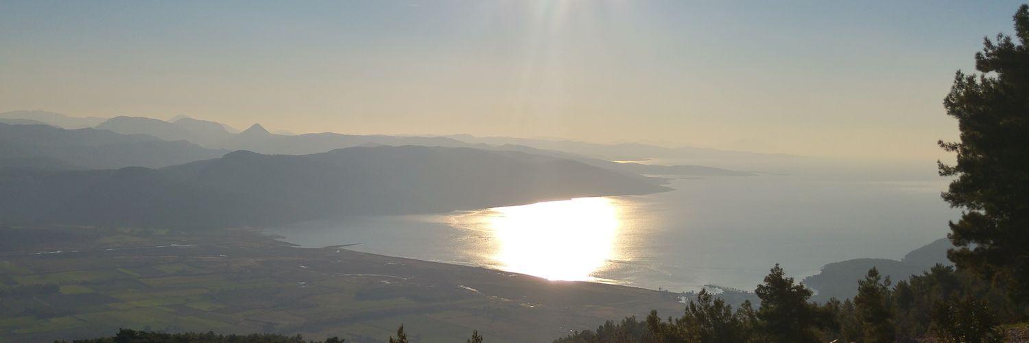 esef1907's profile banner image