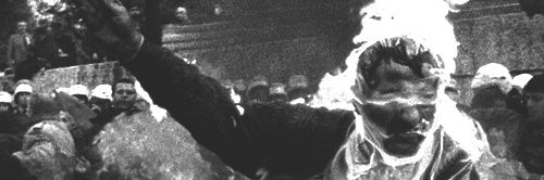 sstppnwlf's profile banner image