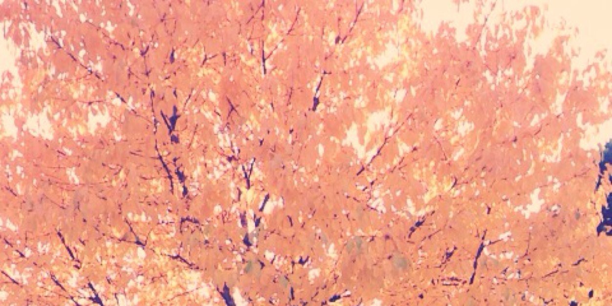 BoswellBenjamin's profile banner image