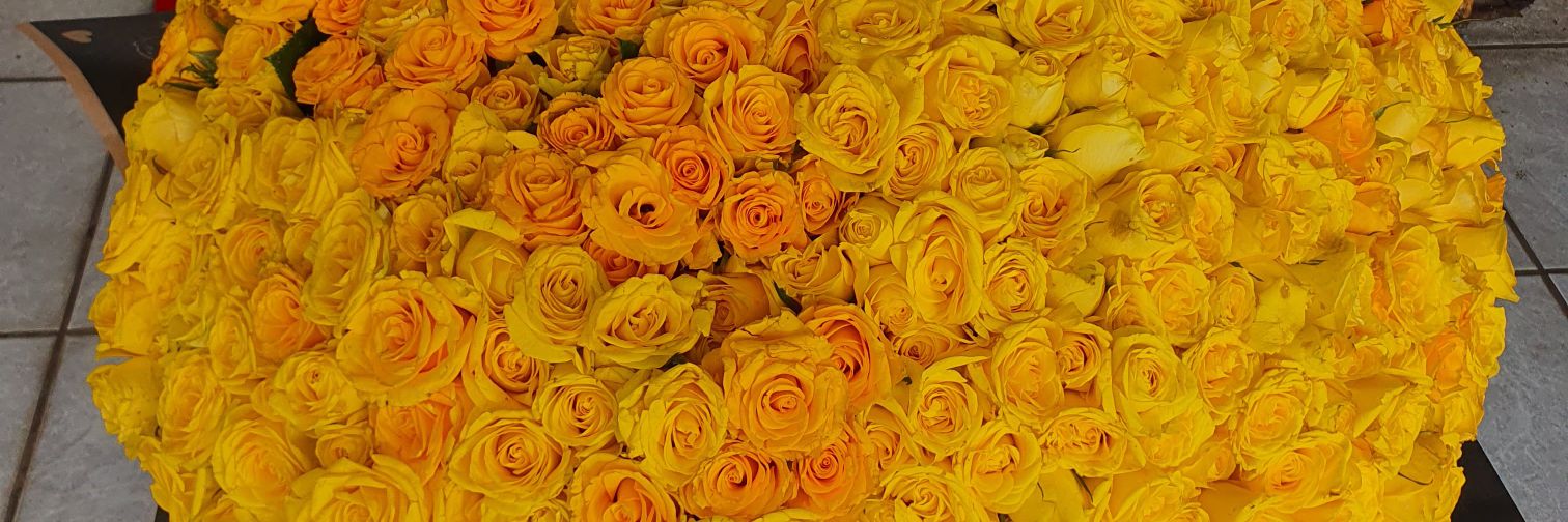 MaferBaldo's profile banner image