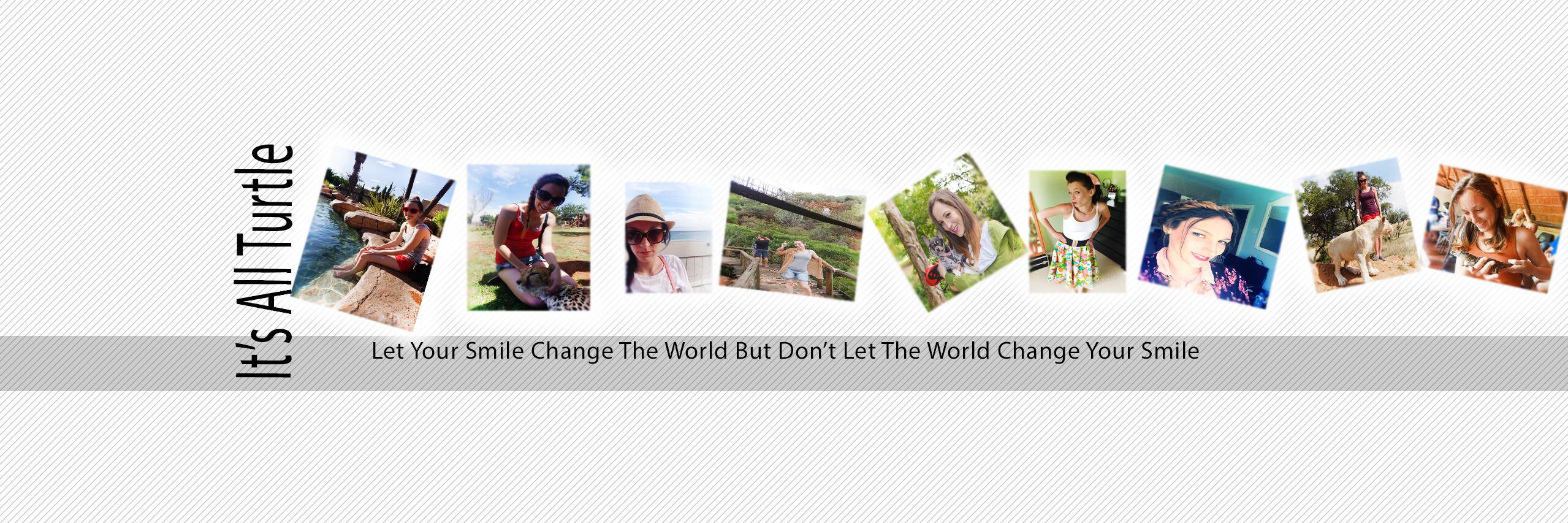 lts All Turtle banner