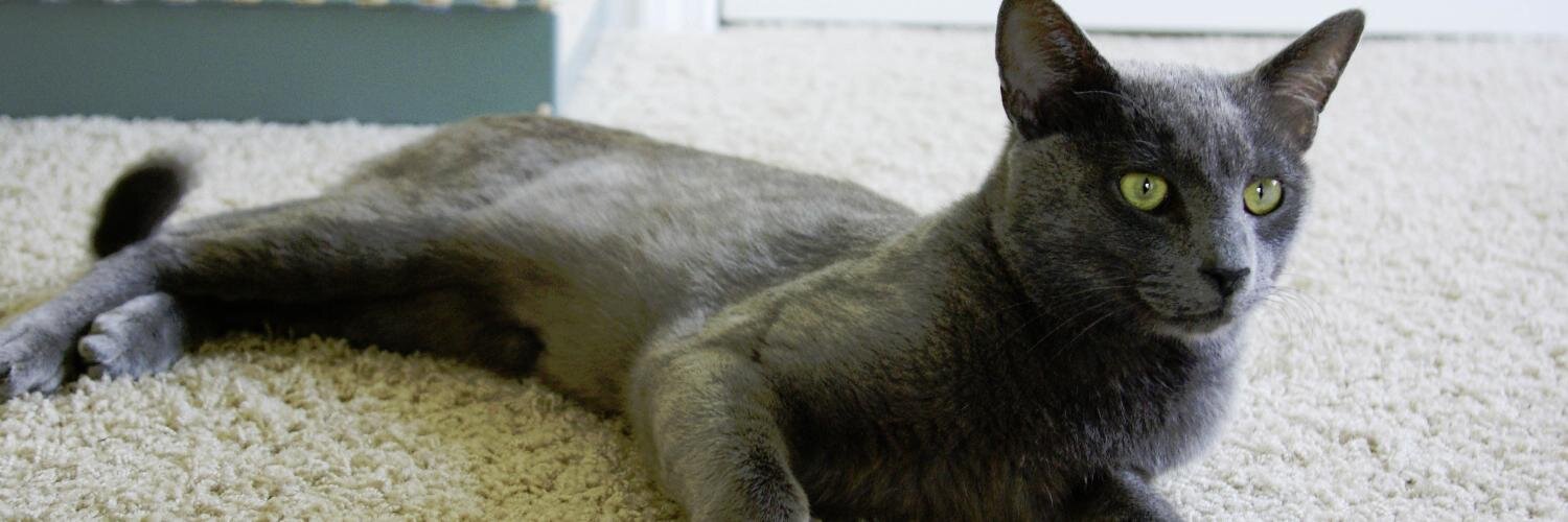 Nikolai Roaminoff banner