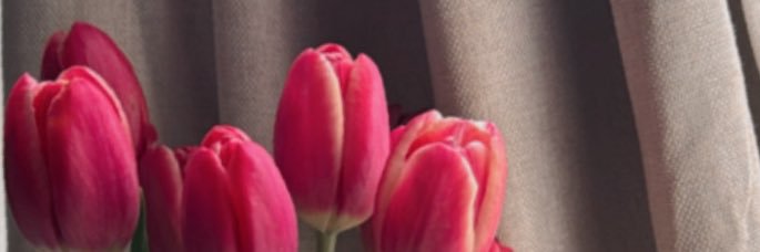 _yazzxo's profile banner image