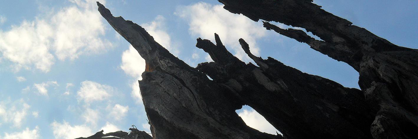 zsirius's profile banner image