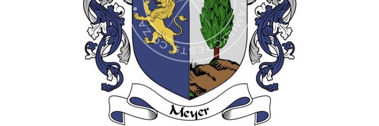 Megz Meyer Ⓜ️ banner