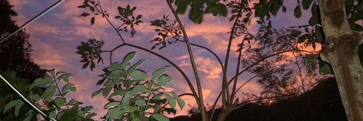 Demian0709's profile banner image