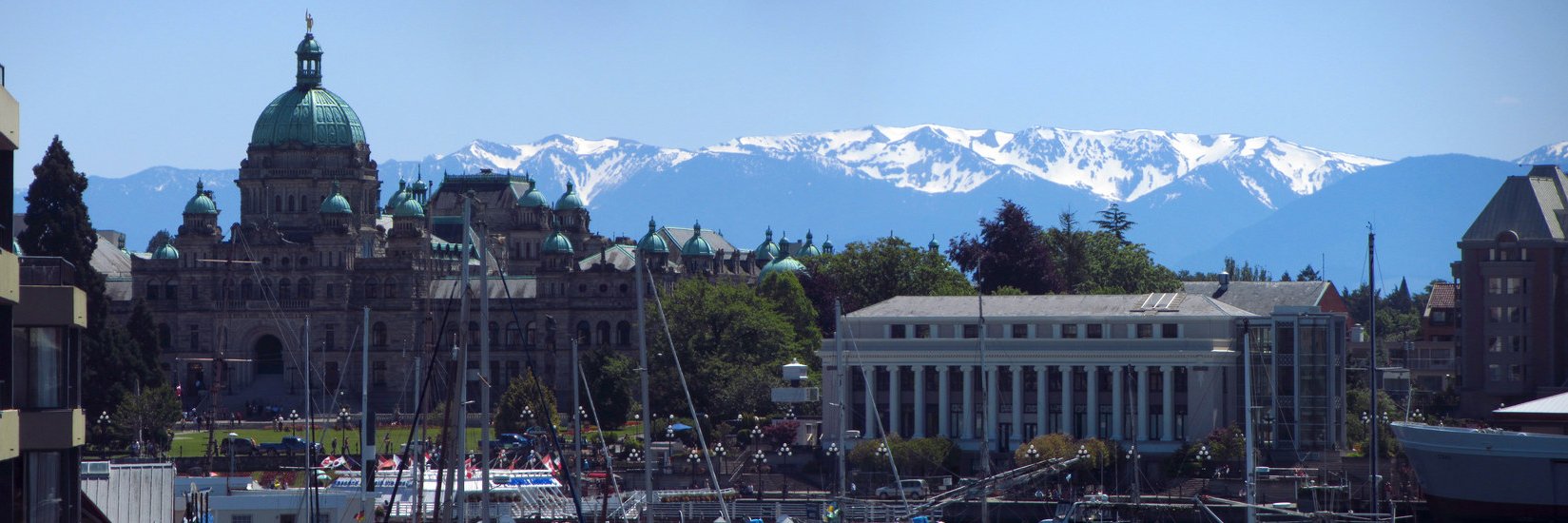 studyinvictoria's profile banner image