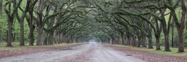 ImanTavassoly Profile Banner