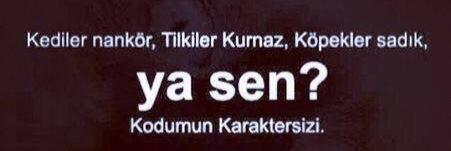 kadaamm's profile banner image