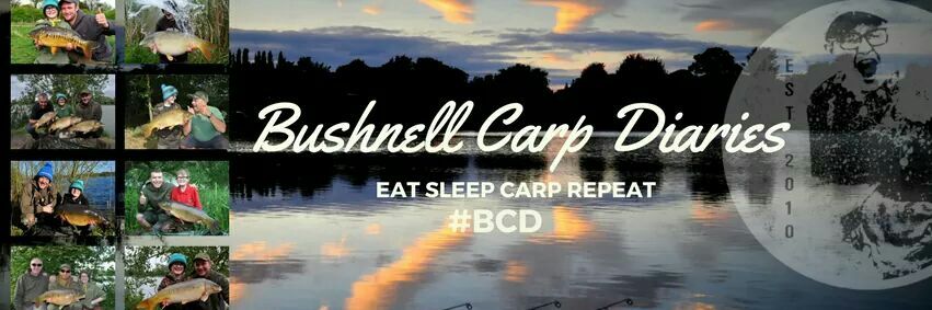 James Bushnell JNR banner