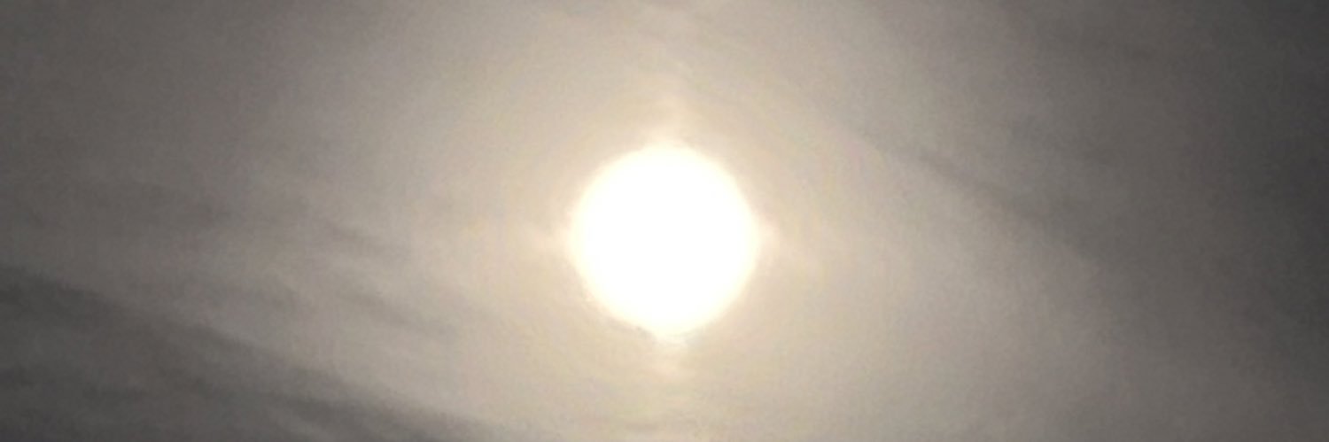 maaleson's profile banner image