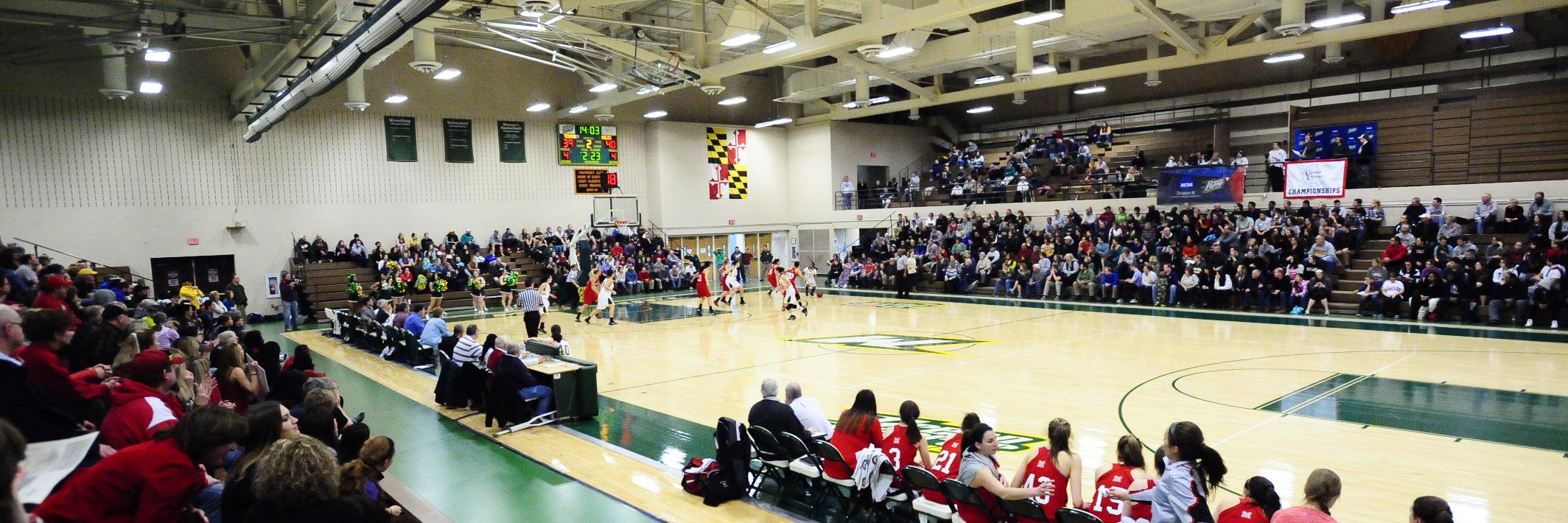 McDaniel Women’s Basketball banner