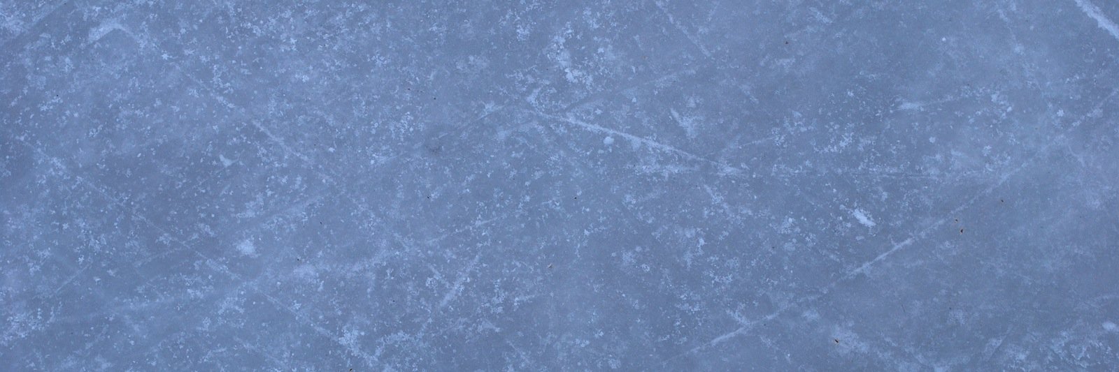 UDFSC's profile banner image