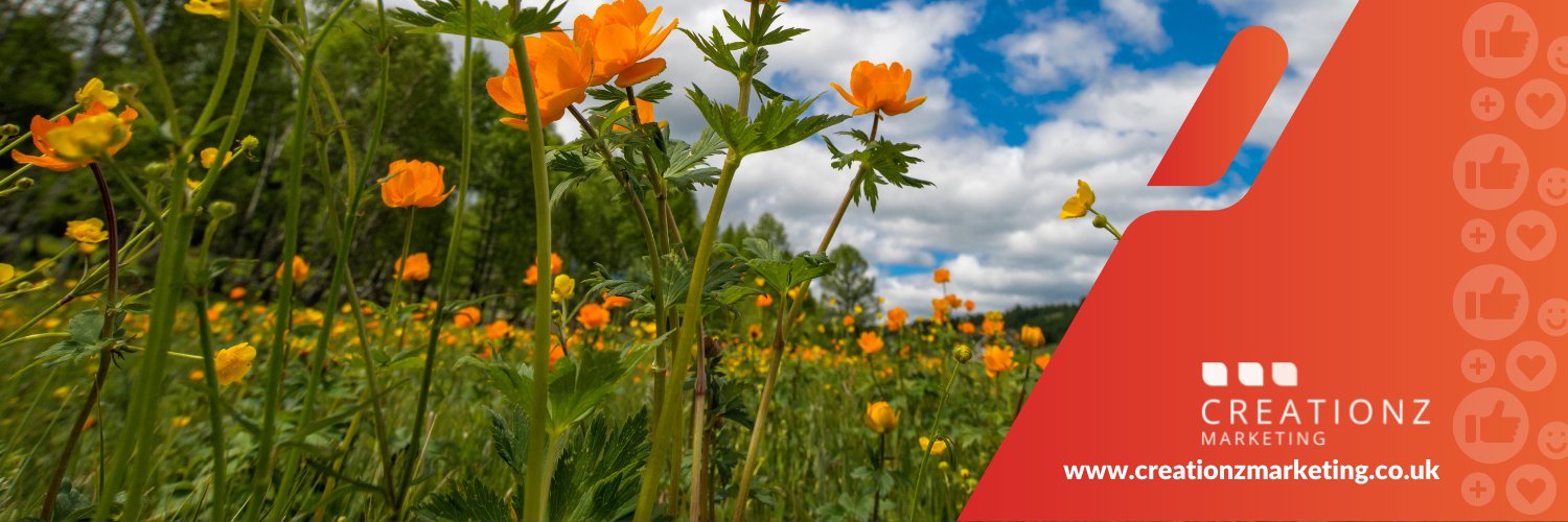 Creationz Marketing banner