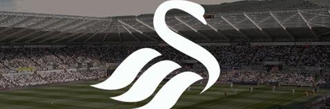 NYCSwans's profile banner image