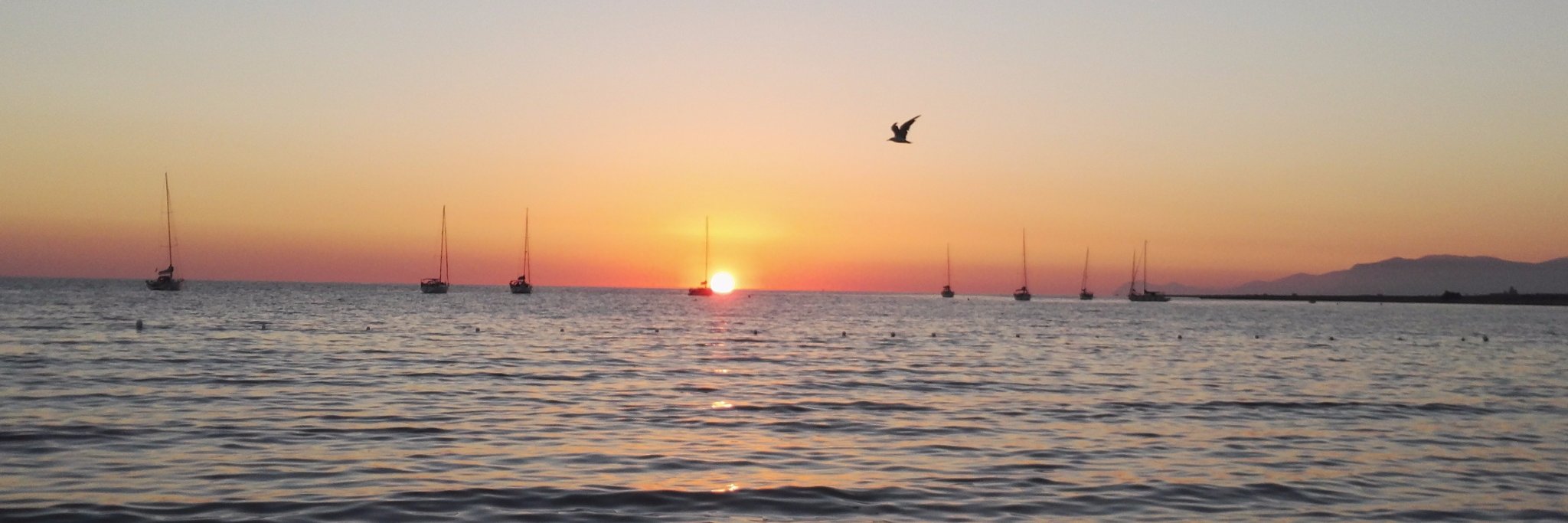 Beatrice Barzon banner