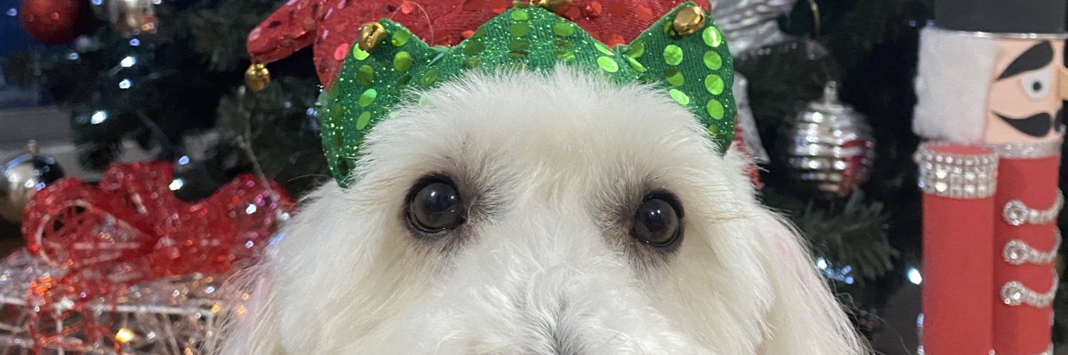 luisafzb_'s profile banner image