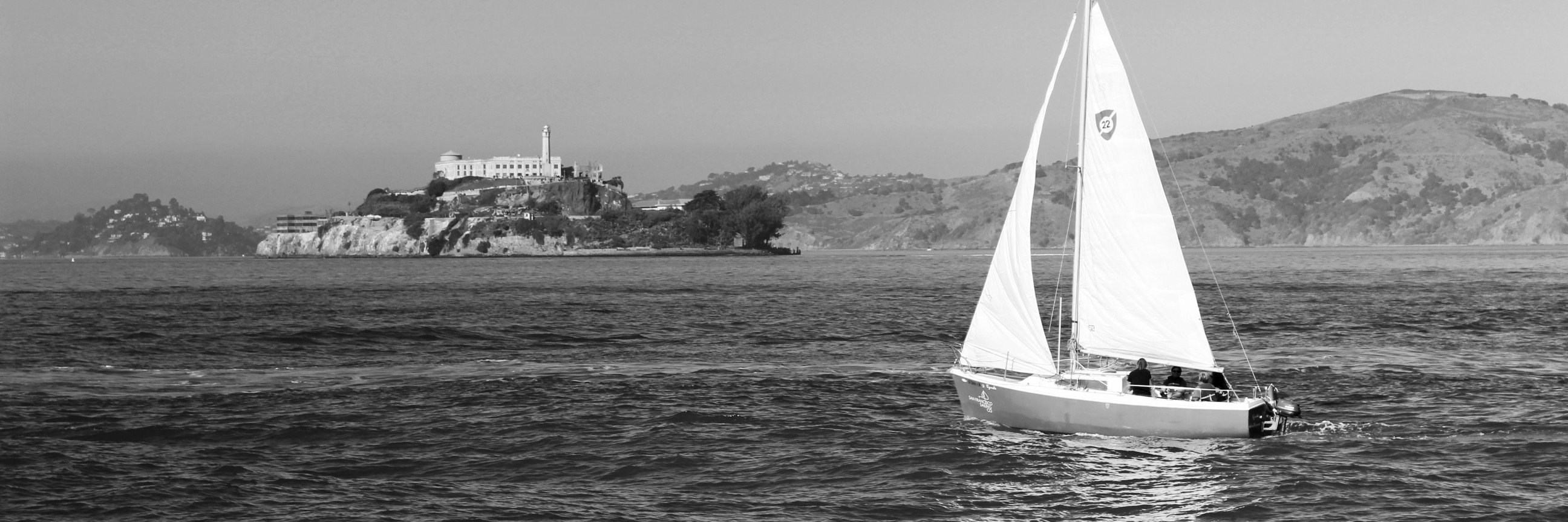 Francesco Freezone banner