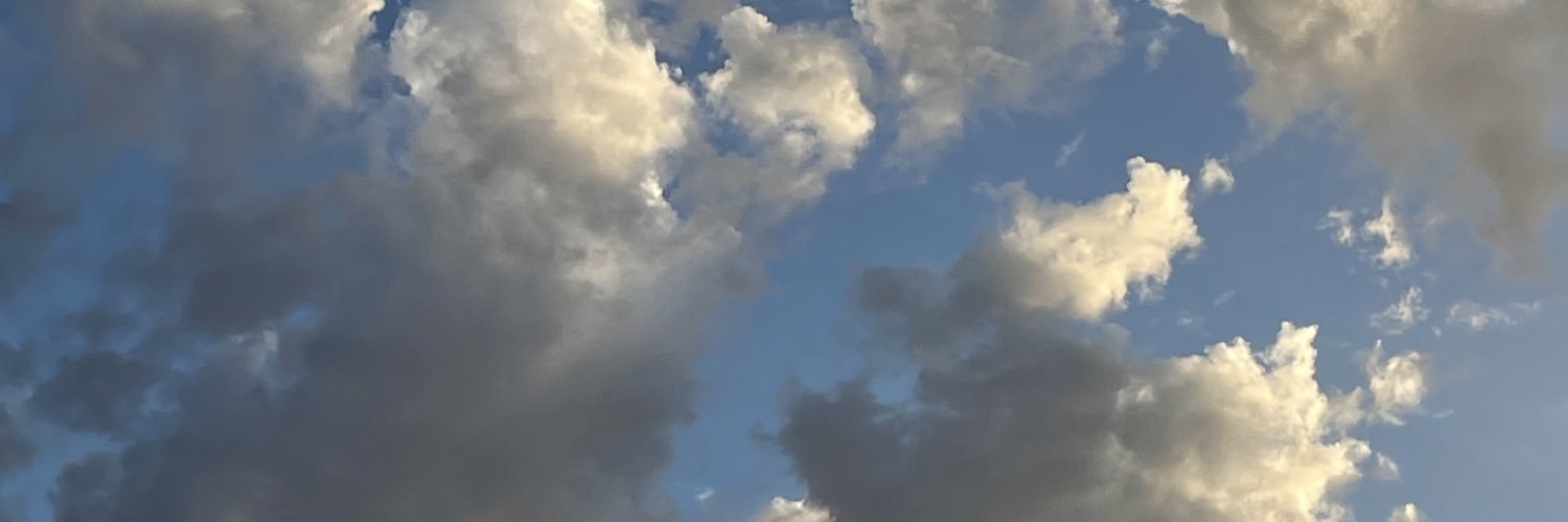 littlehearted's profile banner image