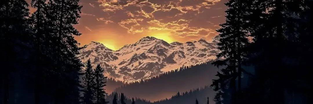 viral_oo's profile banner image