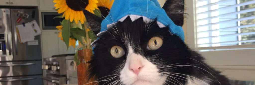 LexeeMathews's profile banner image