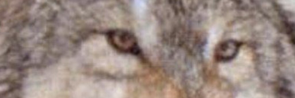 bader5607's profile banner image