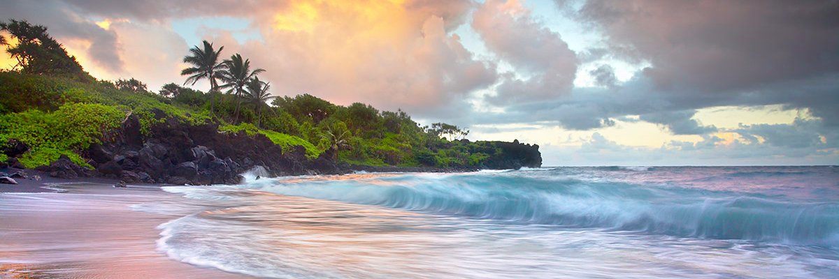 marthakreeger's profile banner image