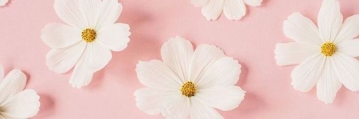 HecaJmnz's profile banner image