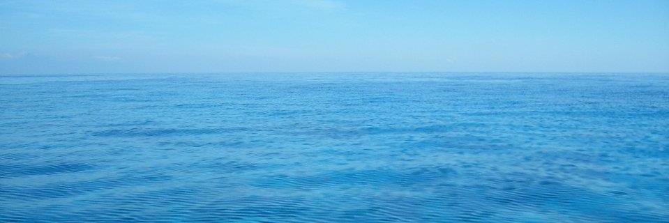 DaveHarleyOT's profile banner image