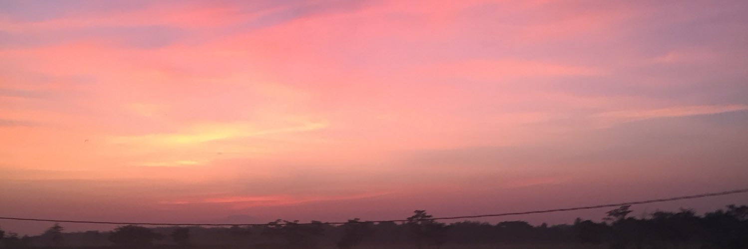 deviastariani's profile banner image
