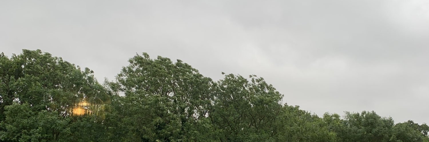🇵🇰 banner
