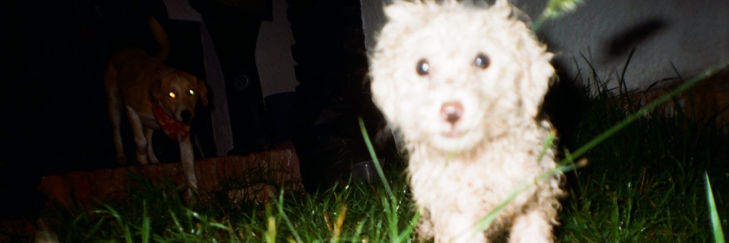 eldanielee's profile banner image