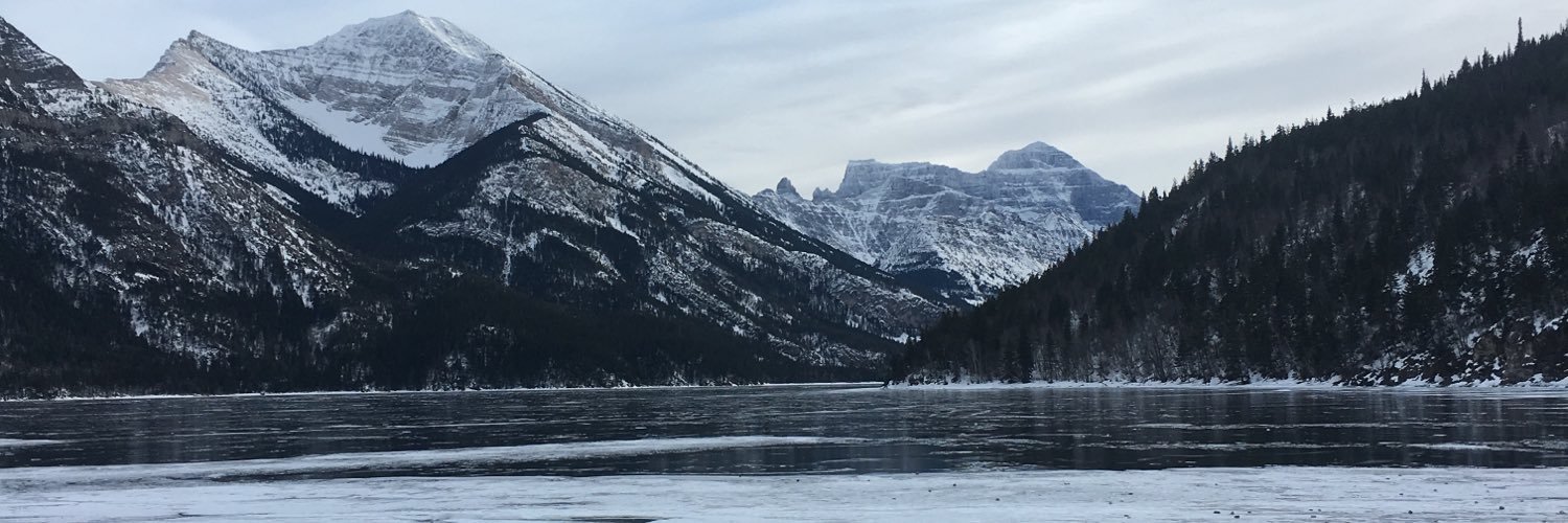 debbgillespie's profile banner image