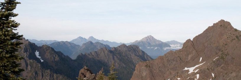 WordFromABird_'s profile banner image