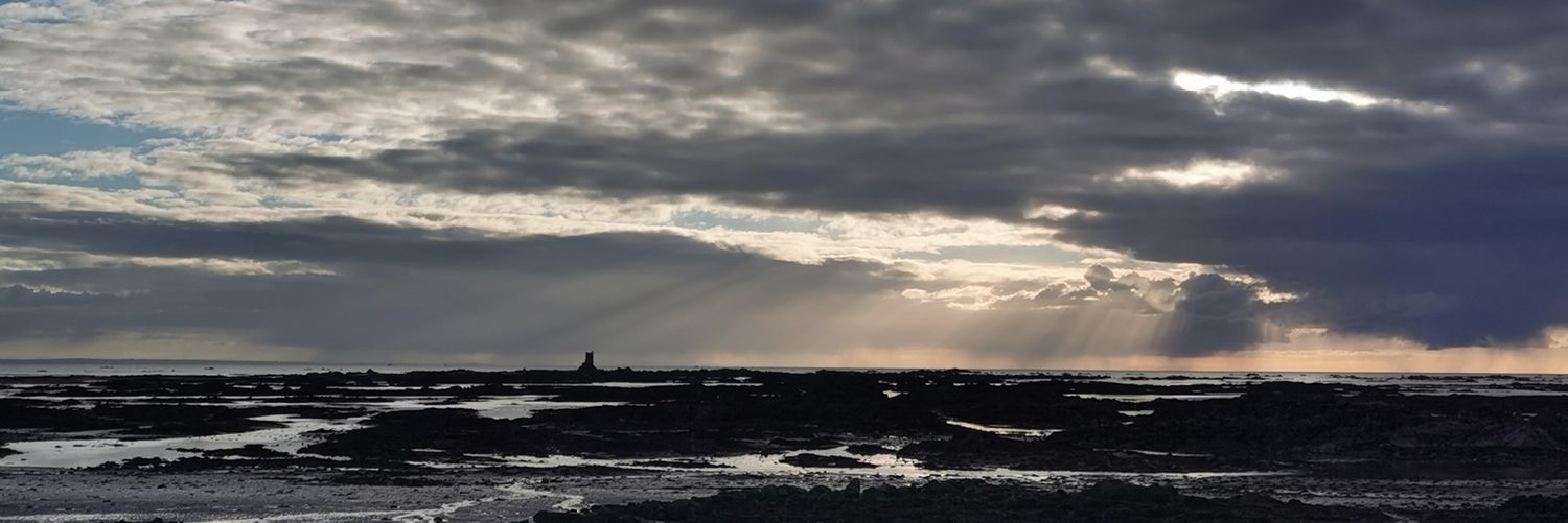 Jo Nash 🇯🇪 banner