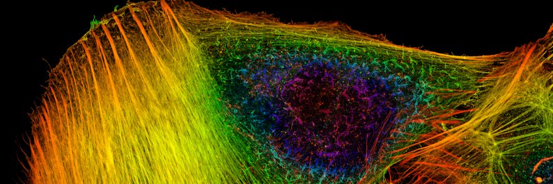 Bindesh Shrestha banner