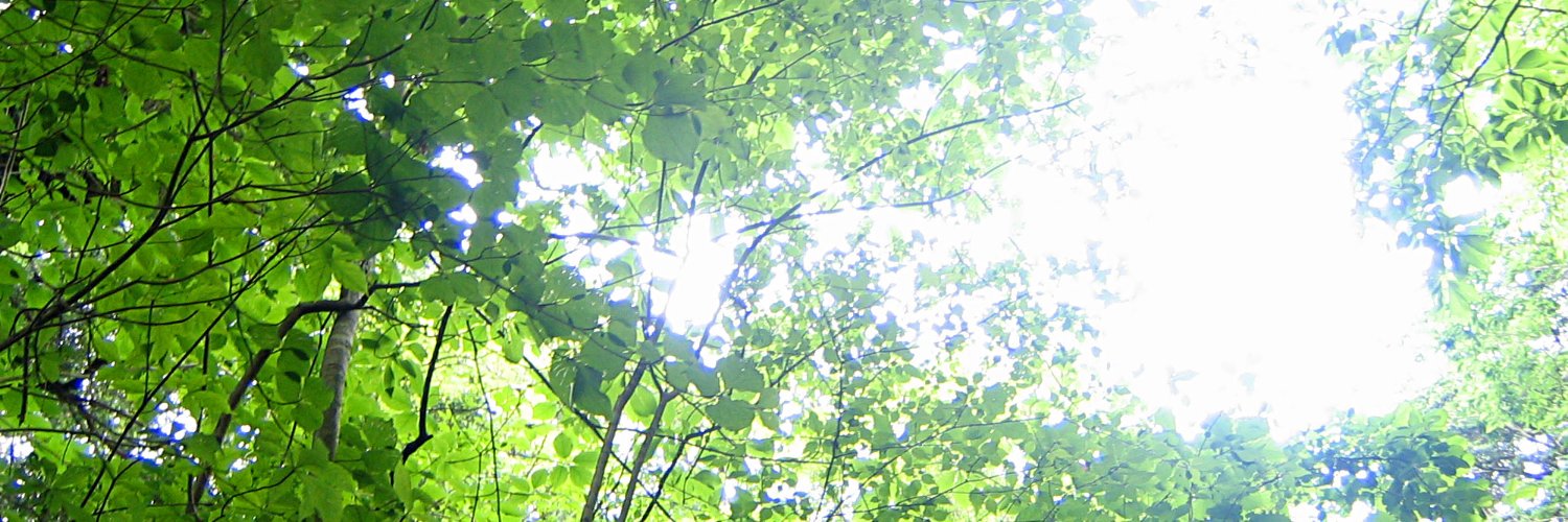 darm341850's profile banner image