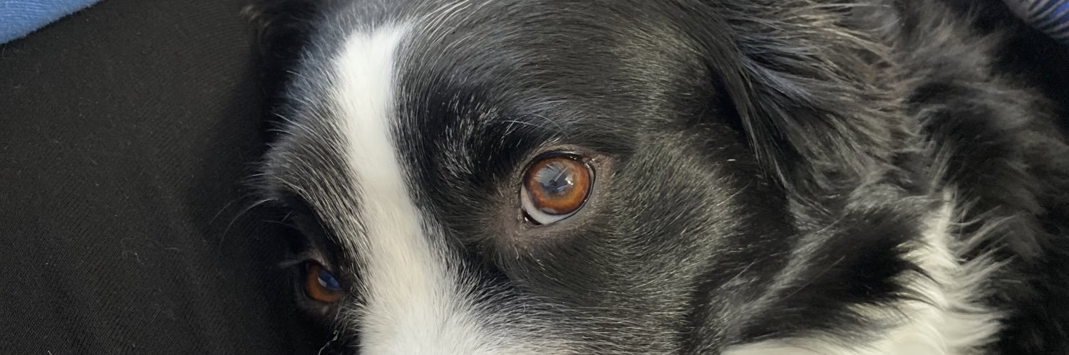 GrubbsAF's profile banner image