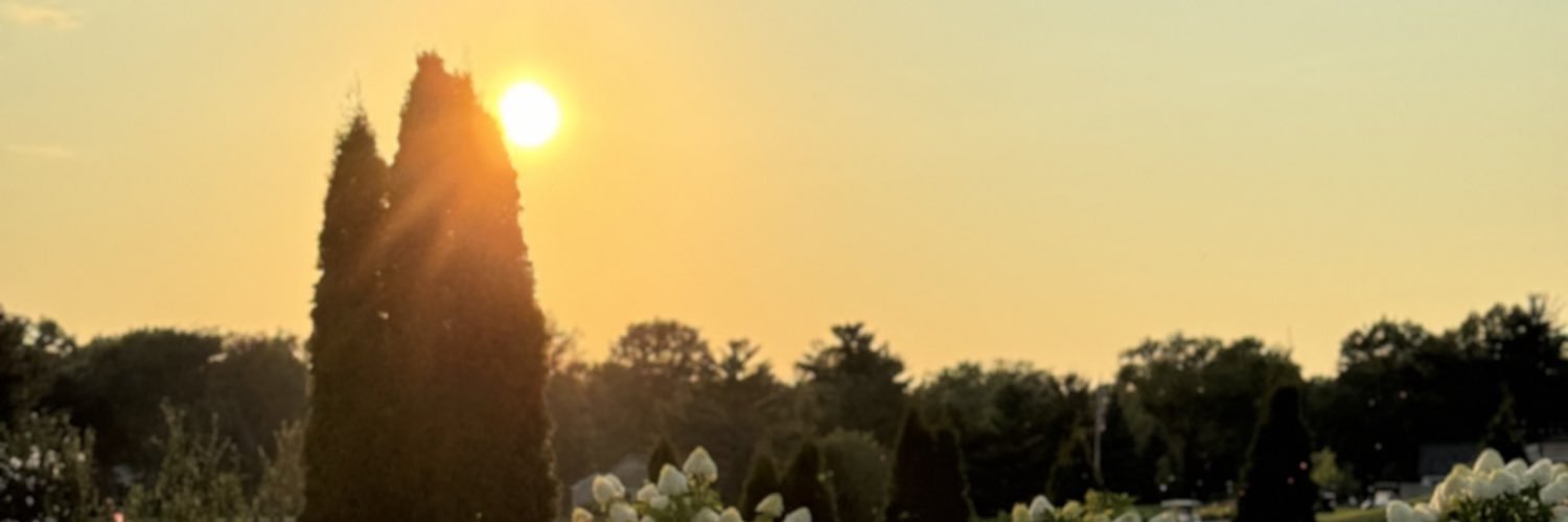Katetothesmith's profile banner image