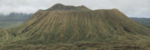 Gooseberry2011 Profile Banner