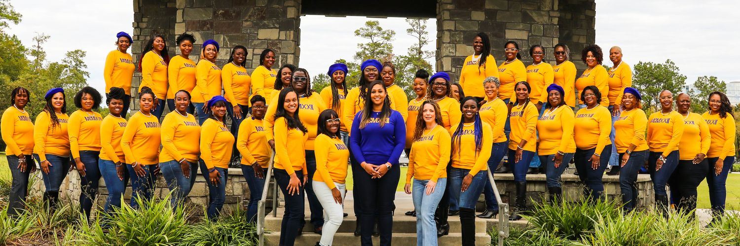 SGRhoSpringTX's profile banner image