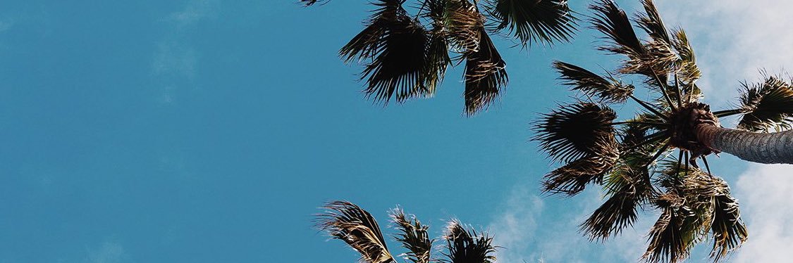 brentxdev's profile banner image