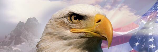 sarsar1031's profile banner image