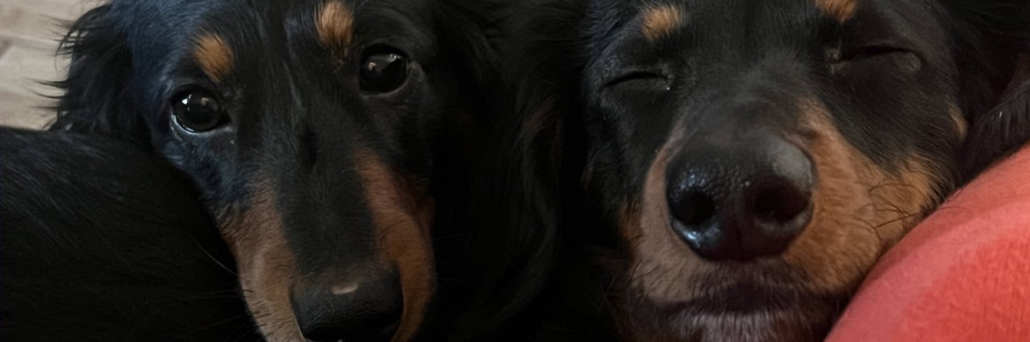 SabyneM's profile banner image